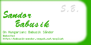 sandor babusik business card